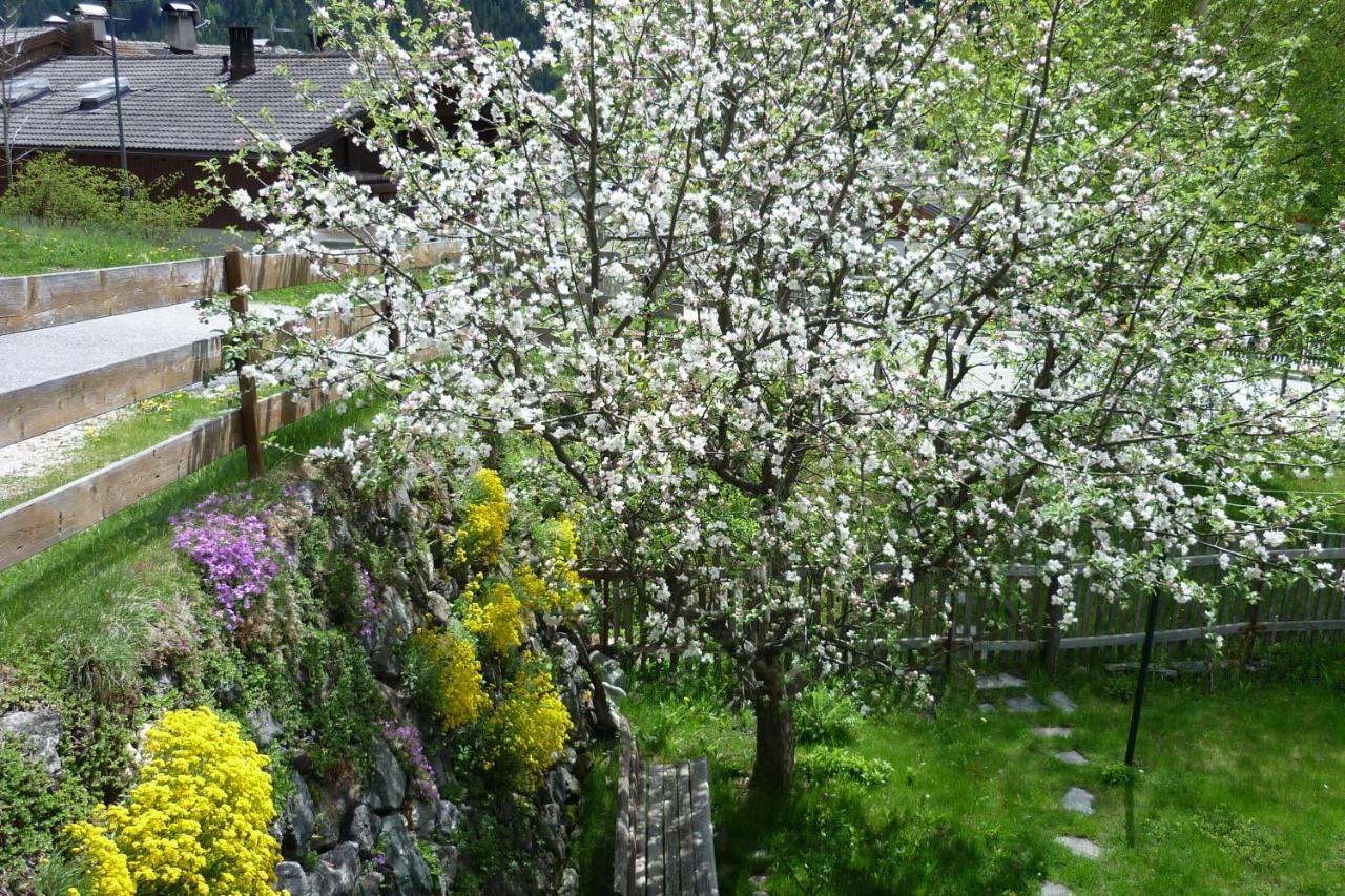 Gruberhof Appartement Innichen Buitenkant foto